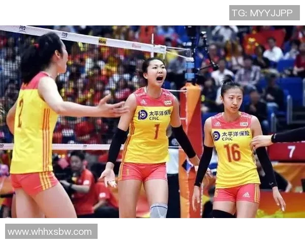 实时新闻南京排球队反击战术分析与比赛表现的得失总结